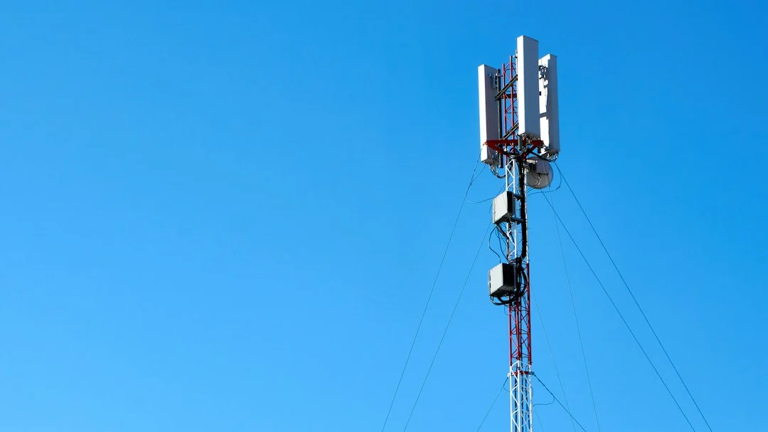 AI Decodes Cellular Communication to Accelerate Tissue Engineering