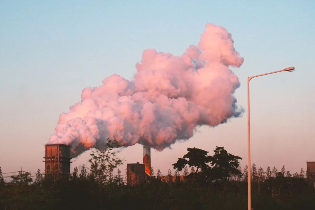 Air pollution exposure and child cognitive load markers