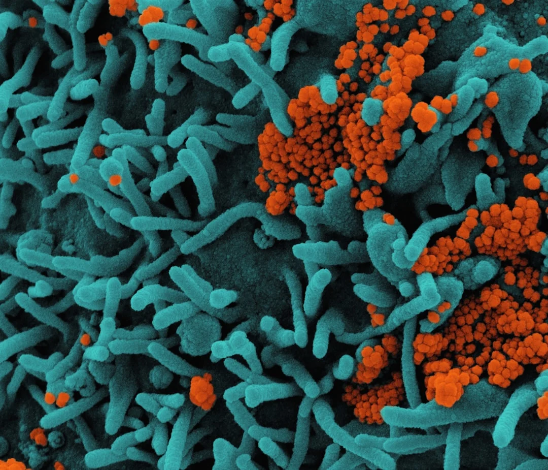 Benefits of Probiotics for Gut Microbiome