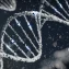 CRISPR Gene Editing Benefits