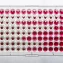 Can a 9‑gene mRNA panel predict TB risk in seniors?