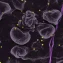 Can bacterial genomics guide personalized antibiotics?
