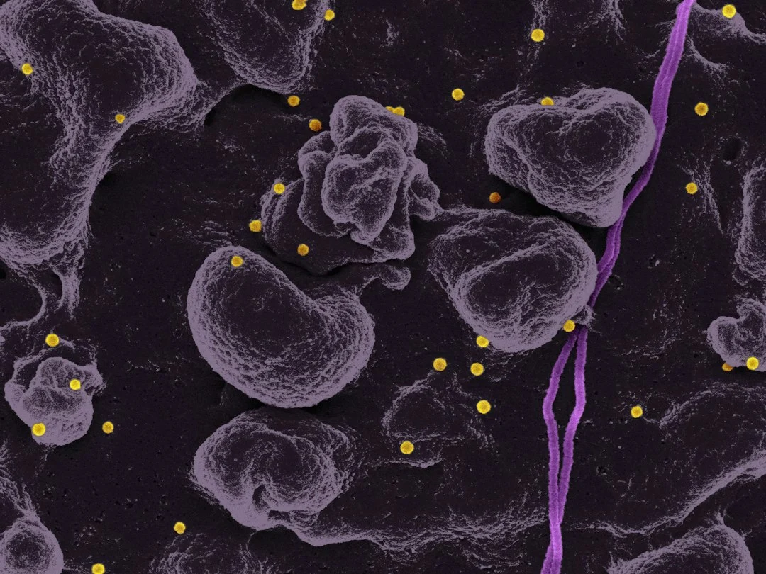 Can bacterial genomics guide personalized antibiotics?