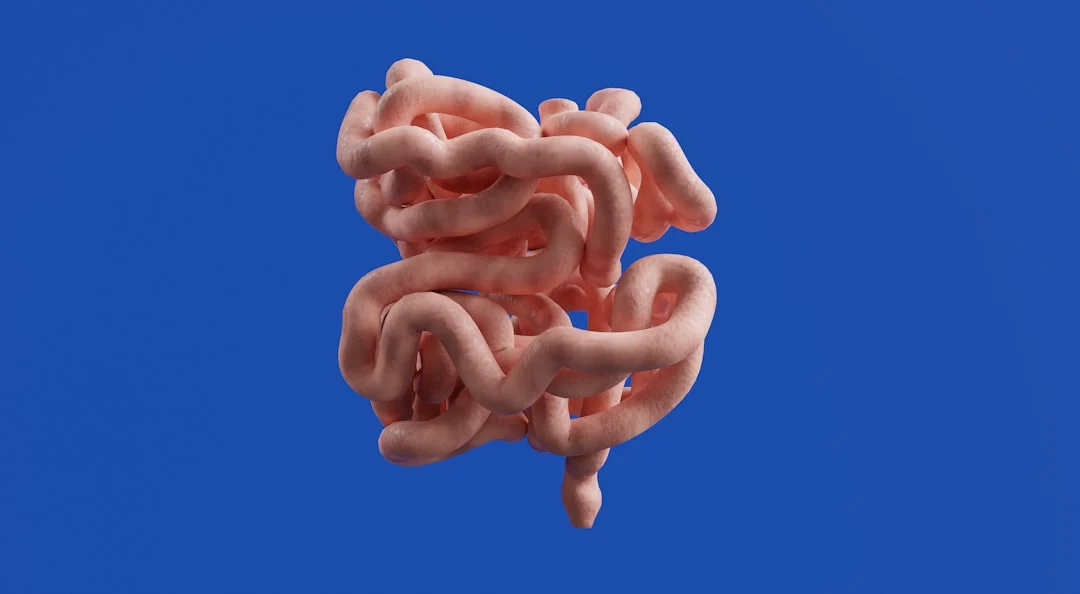 Can gut microbiome profiling predict early brain aging?