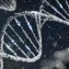 Exploring the Frontiers of Regenerative Medicine: CRISPR, Gene Editing, and Stem Cells for Disease Prevention and Longevity