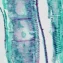 Exploring the Intersection of Regenerative Medicine, Stem Cells, and Biohacking for Anti-Aging and Longevity