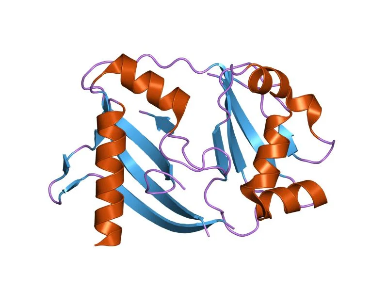 How CRISPR Works
