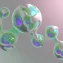 Iron‑protective molecule: implications for aging health