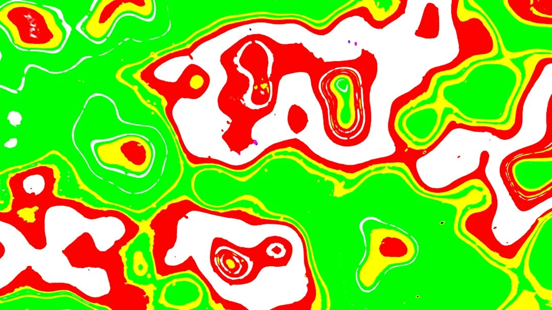 MIT map of million mouse cells reveals development cues