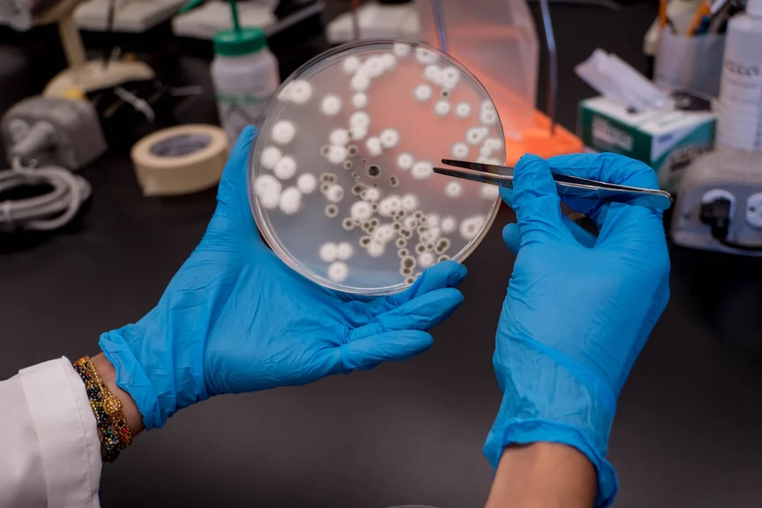 Microbial discoveries that could extend healthspan