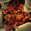 Microbiome matching to boost fecal transplant outcomes