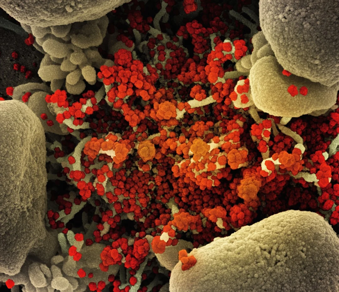 Microbiome matching to boost fecal transplant outcomes