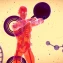 Optimizing Healthspan and Lifespan through Regenerative Medicine, Stem Cells, and Biohacking Strategies