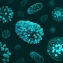Reprogrammed NK Cells Offer New Cancer and Autoimmune Therapy