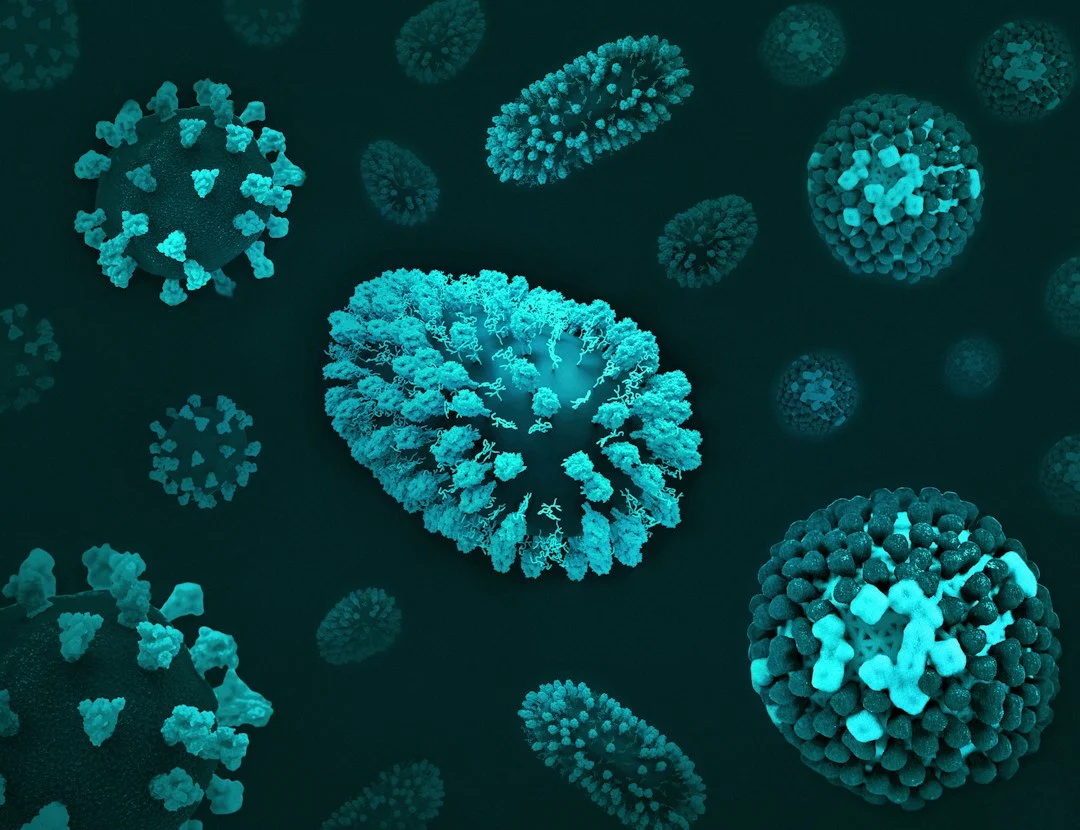 Reprogrammed NK Cells Offer New Cancer and Autoimmune Therapy