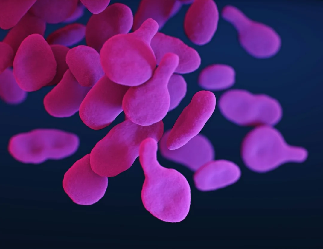 What cGAS‑STING activation reveals for DNA‑based lupus diagnostics