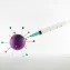 What gut microbiome‑probiotic links mean for vaccine response in