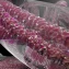 What is Biological Age?
