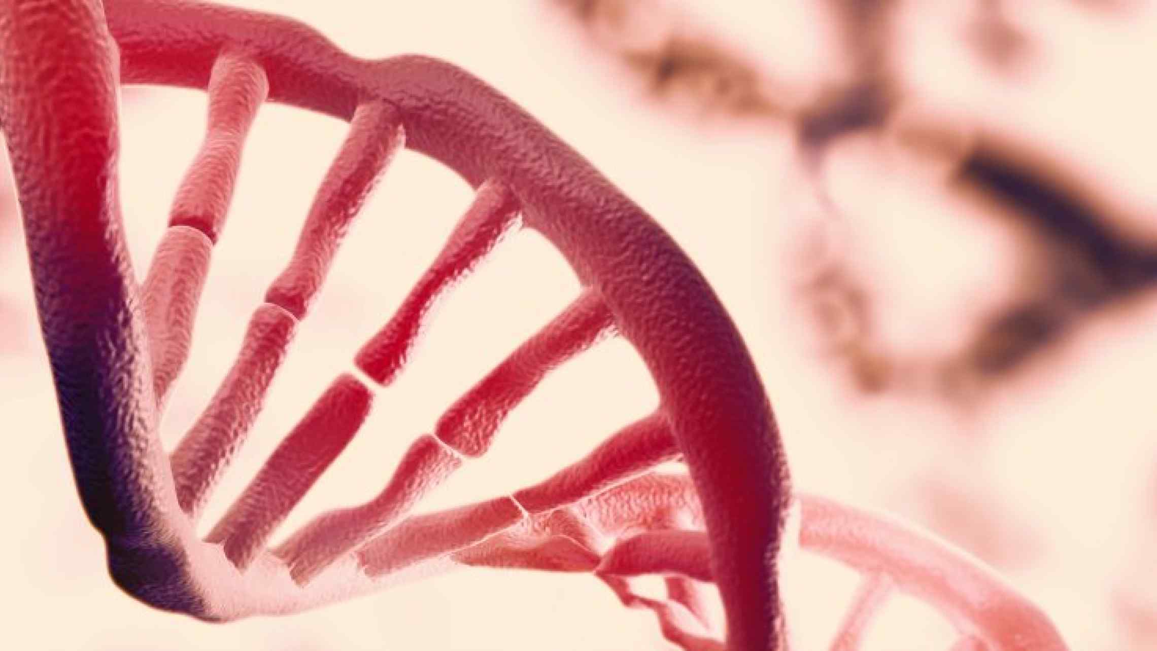 THERE IS A SECOND LAYER OF INFORMATION HIDDEN IN OUR DNA