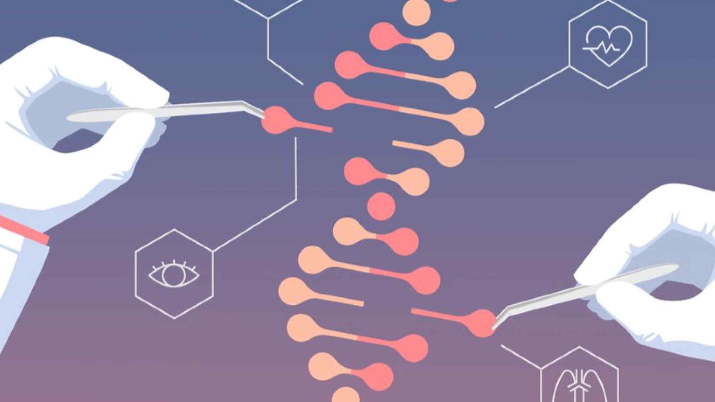 CRISPR: WHAT IS THE FUTURE OF GENE EDITING?