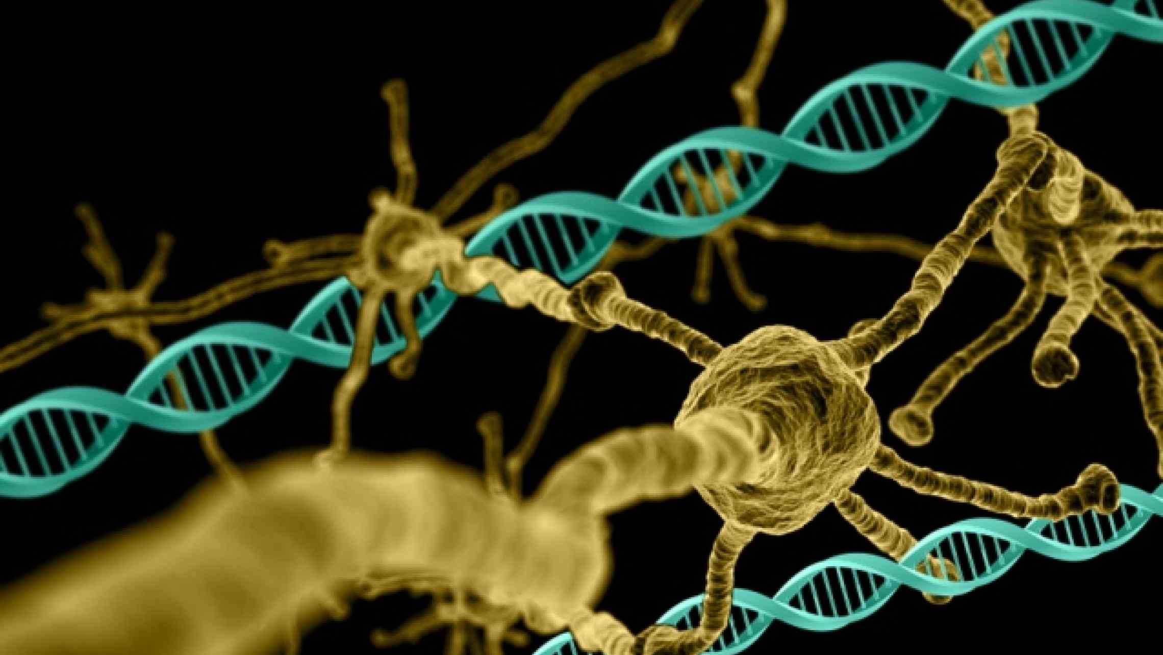 GENETIC SCREEN OFFERS NEW DRUG TARGETS FOR HUNTINGTON’S DISEASE