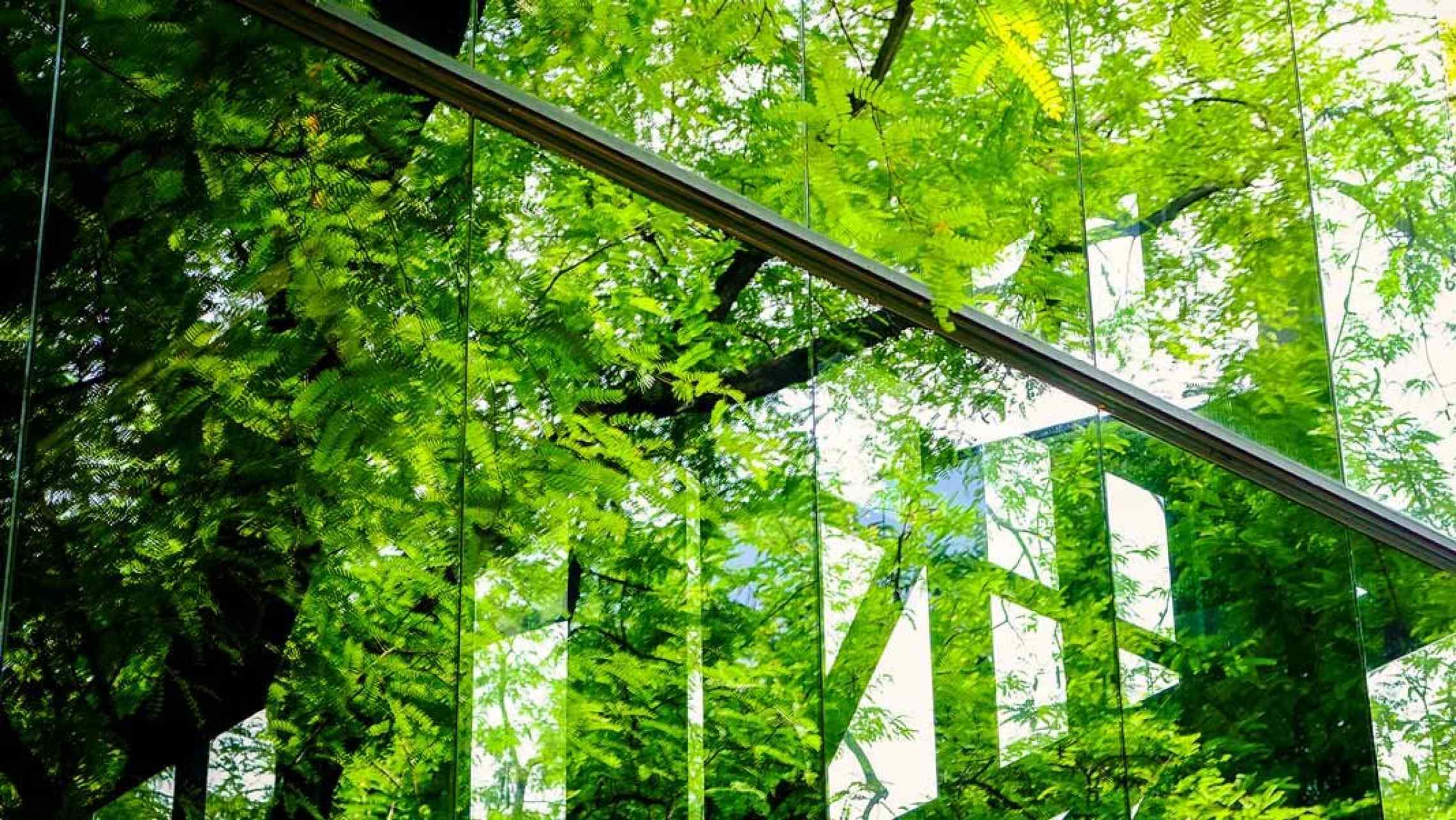 FIVE WAYS BUILDINGS OF THE FUTURE WILL USE BIOTECH TO BECOME LIVING THINGS