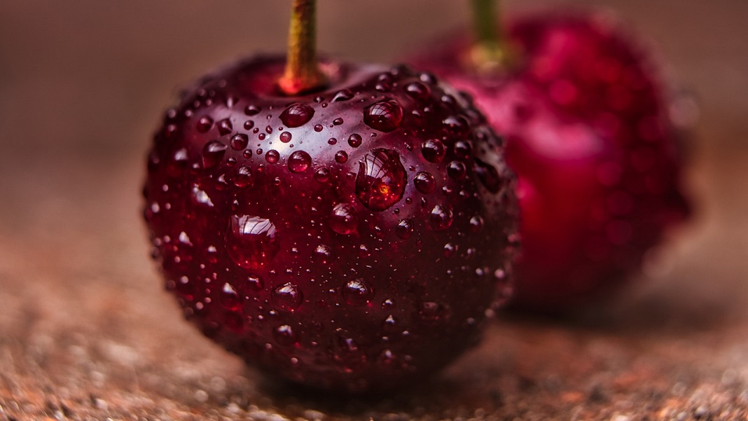 From Pitless Cherries to Softer Kale, This Startup Is Using CRISPR to Make Better Produce