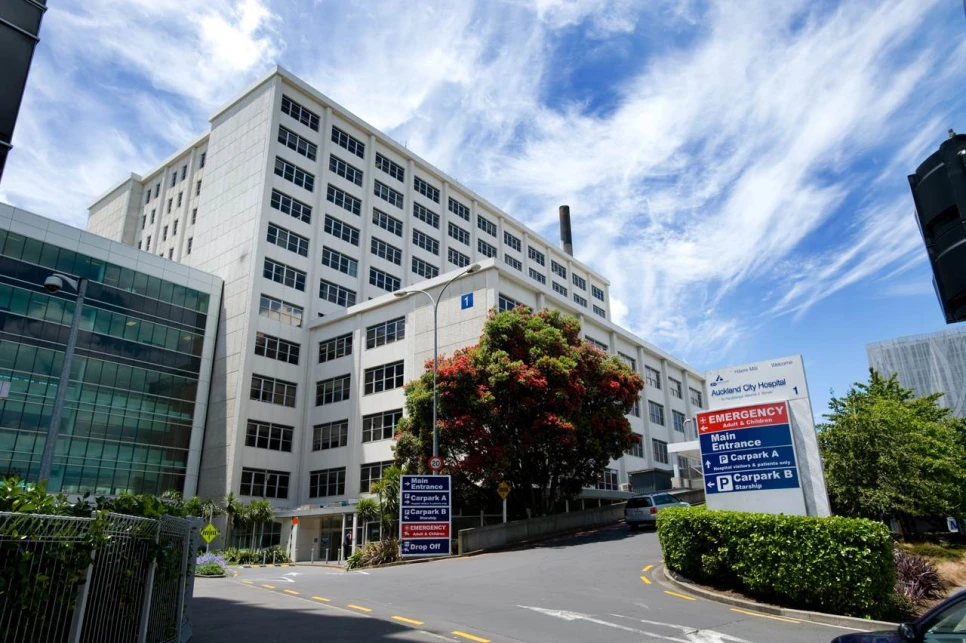 Leading Medical Services in New Zealand: Excellence in Patient Care