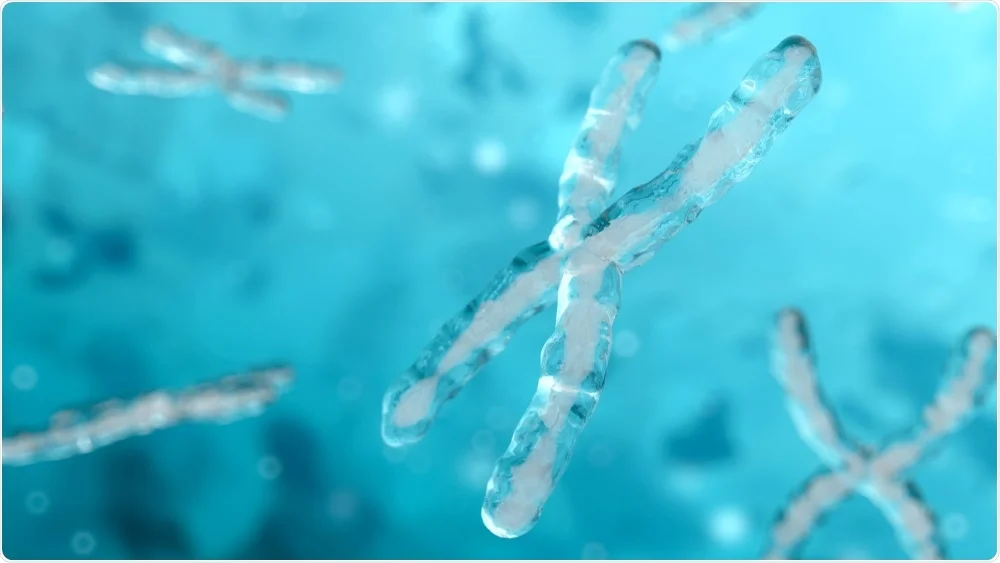Genetic Engineering for Extended Lifespan