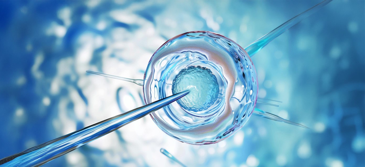 Fertility Treatments Abroad: IVF and Surrogacy