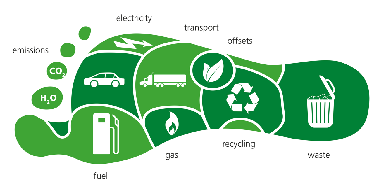 Carbon Footprint: How to Reduce Your Impact