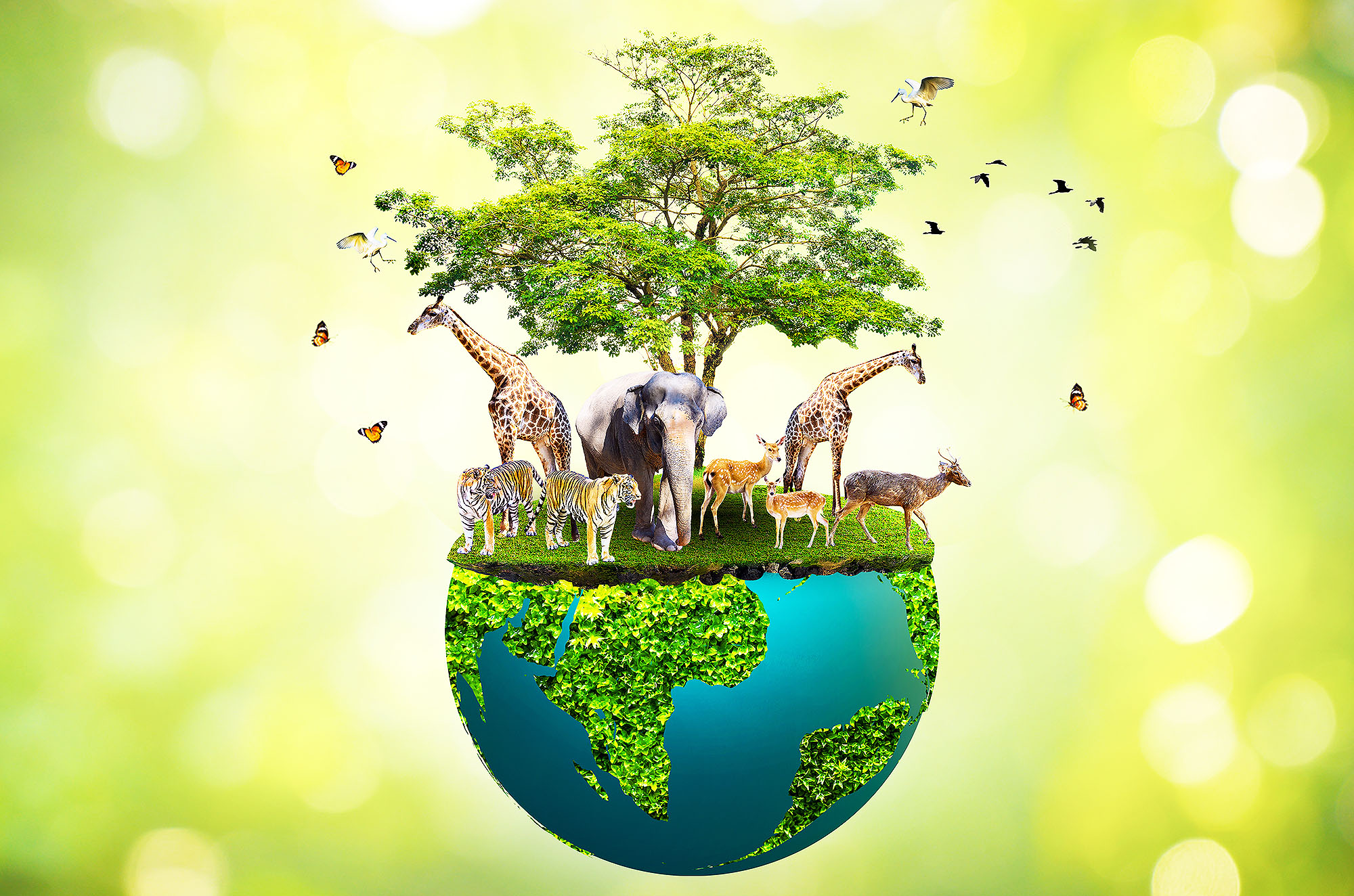 Endangered Species: Protecting Biodiversity