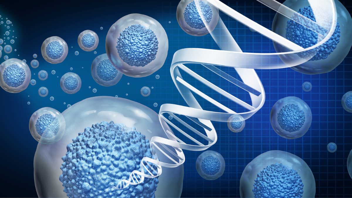Artificial Intelligence and Immortality Research