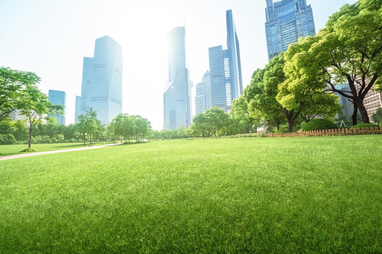 Urban Green Spaces: Parks, Trees and Healthy Cities