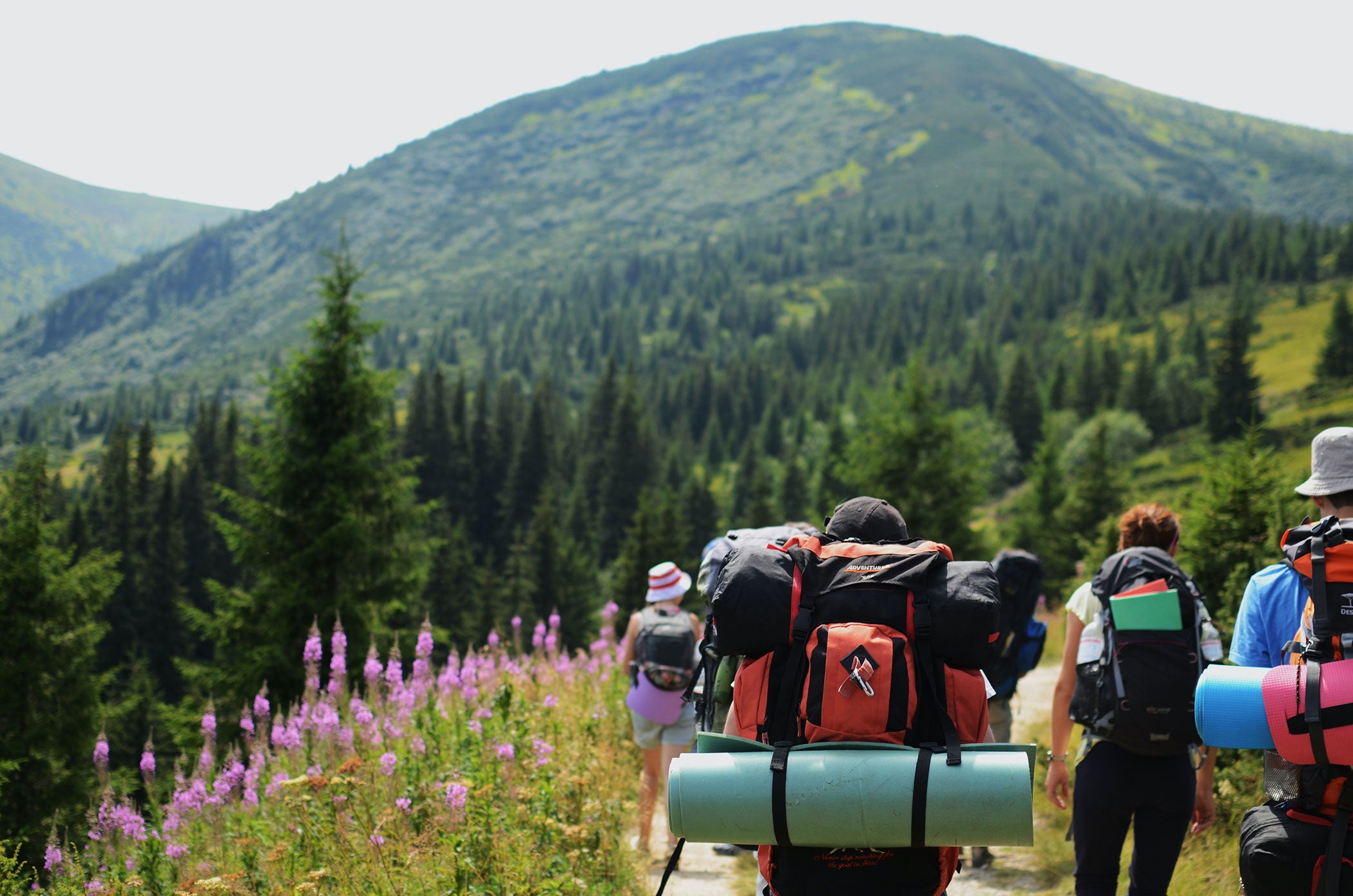 How to Handle Emergencies in the Wilderness