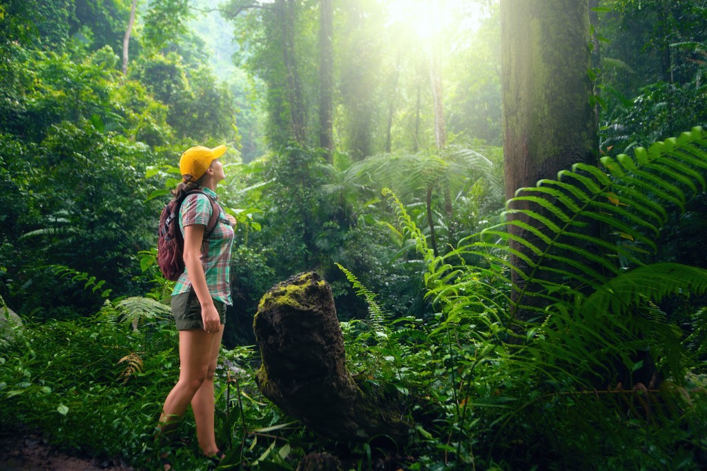 Ecotourism: Travel That Protects the Planet