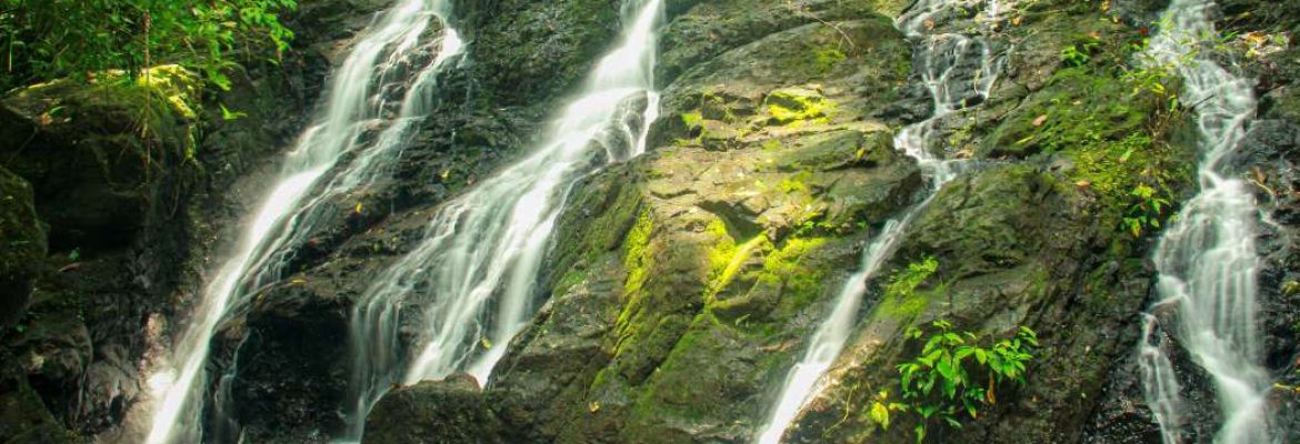 Soberanía National Park
