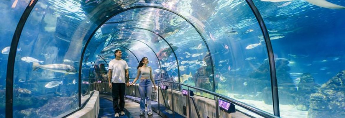 L’Aquarium de Barcelona